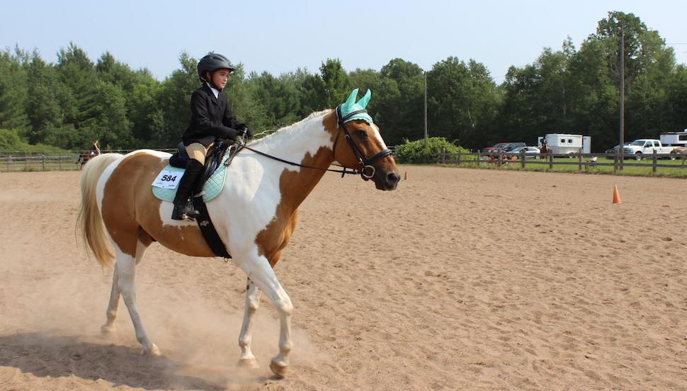 Saddle Club show